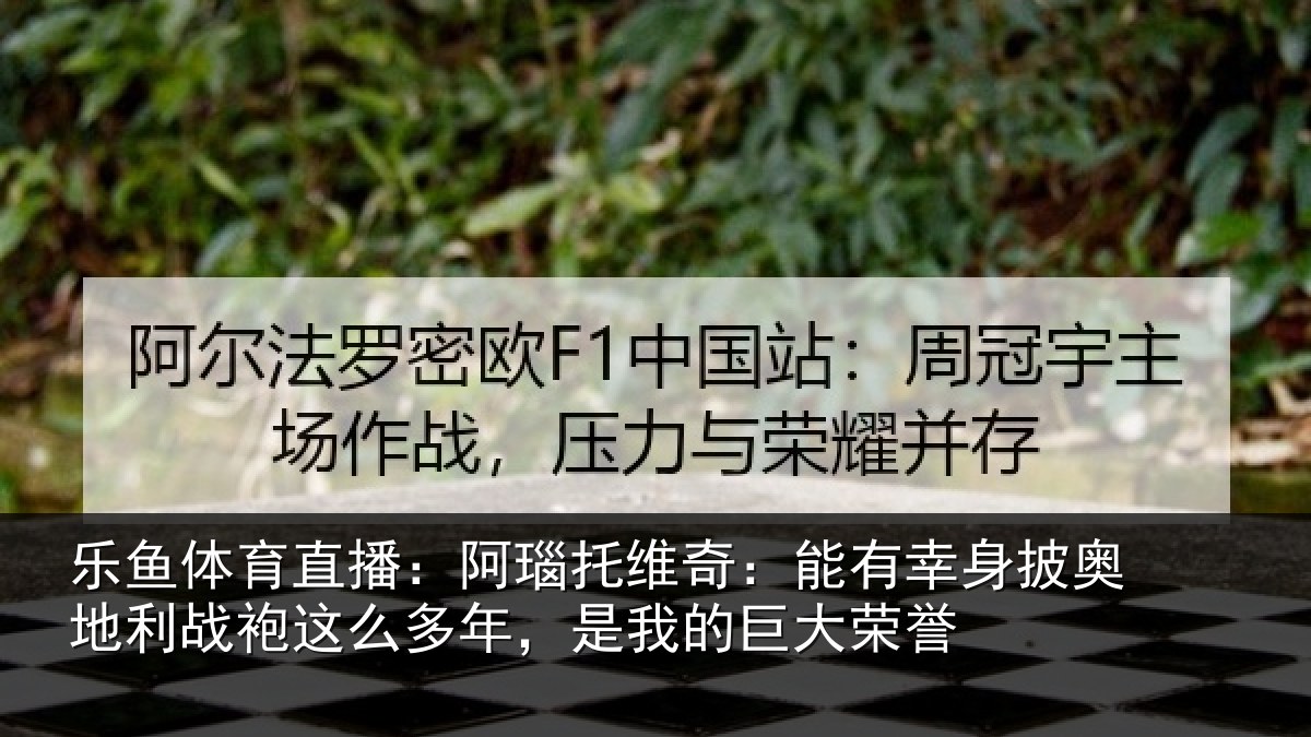 乐鱼体育直播：阿瑙托维奇：能有幸身披奥地利战袍这么多年，是我的巨大荣誉