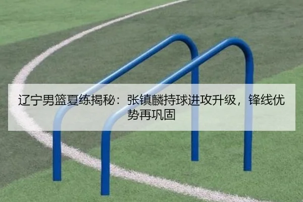辽宁男篮夏练揭秘：张镇麟持球进攻升级，锋线优势再巩固