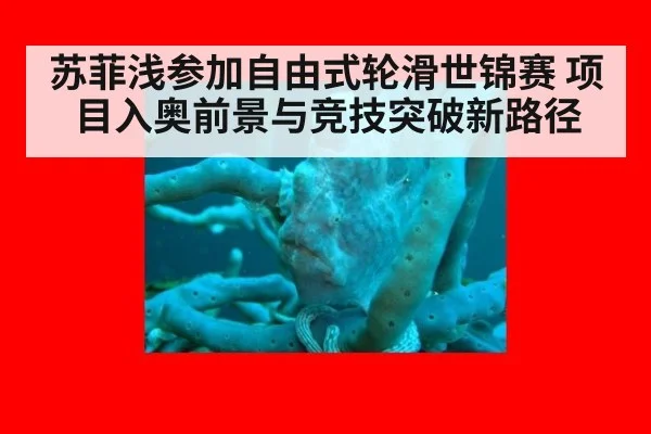 苏菲浅参加自由式轮滑世锦赛 项目入奥前景与竞技突破新路径